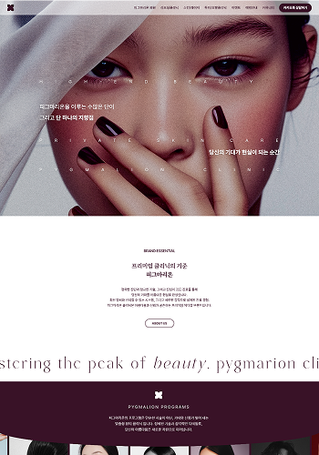 웹사이트 사례 2